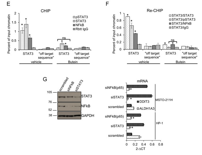 fig3b