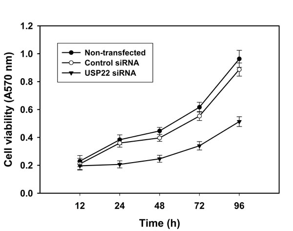 USP22 gene silencing inhibits HCC cell growth.