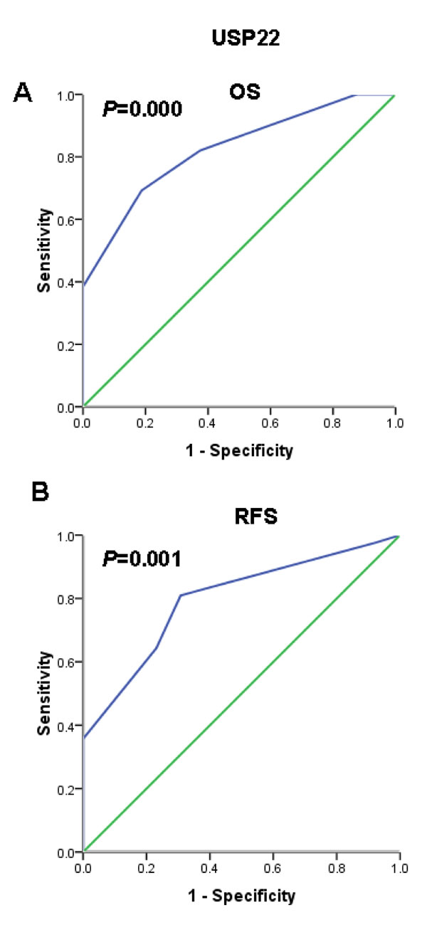 Receiver operating characteristic (ROC) curve analysis used to select a USP22 cutoff score based on the training set.