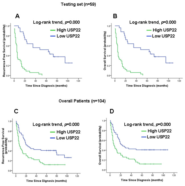 Kaplan-Meier survival analysis of USP22 expression in the test set and in all patients.