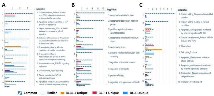 Enrichment analysis of gene profile significantly altered by inhibition of xCT within KSHV-infected PEL cell-lines.