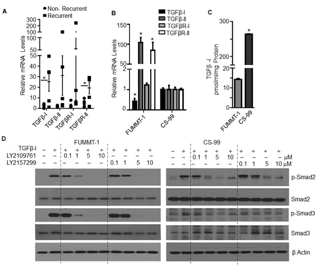 TGF&#x3b2; signaling in UCS.