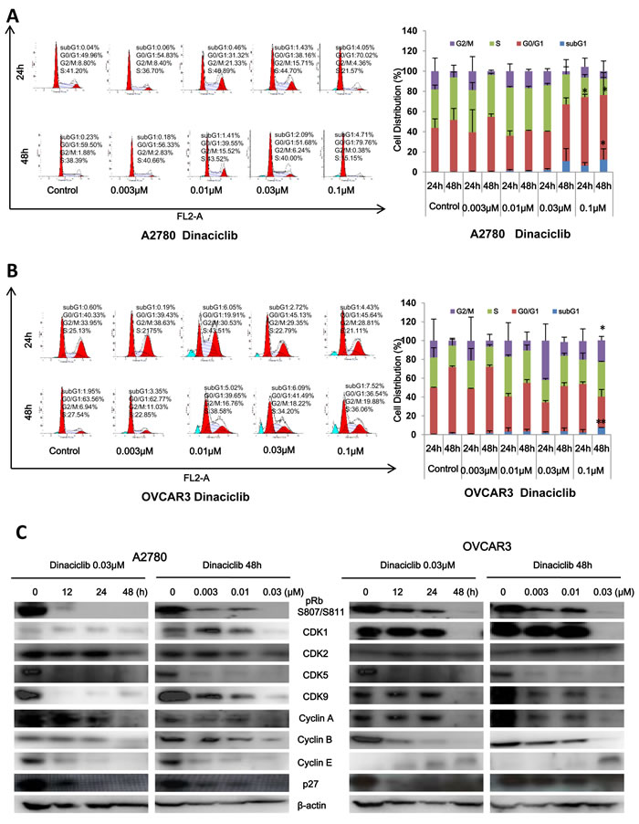 Dinaciclib induced cell cycle arrest in ovarian cancer cells.