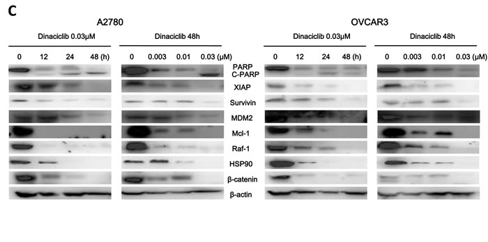 fig3c