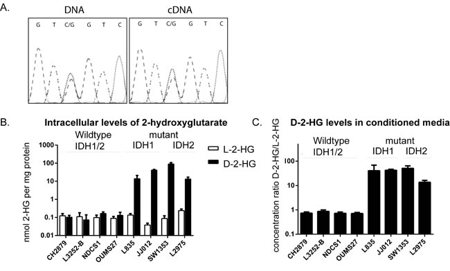 Comparison of the levels of D-2-HG and L-2-HG between