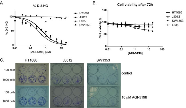 Inhibition of mutant IDH1 for 72 hours using AGI-5198 in chondrosarcoma cell lines.