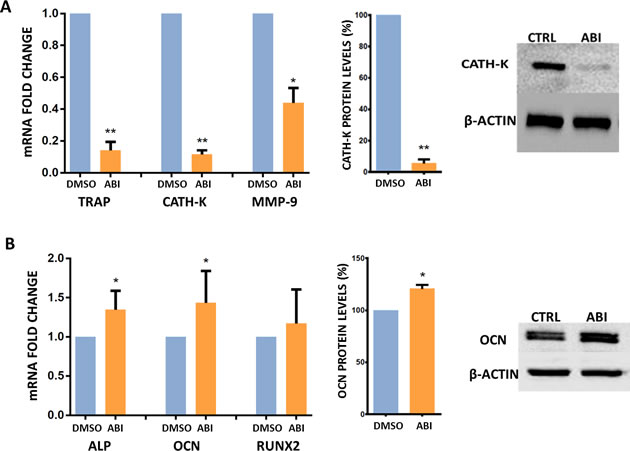 Gene and protein expression analyses.