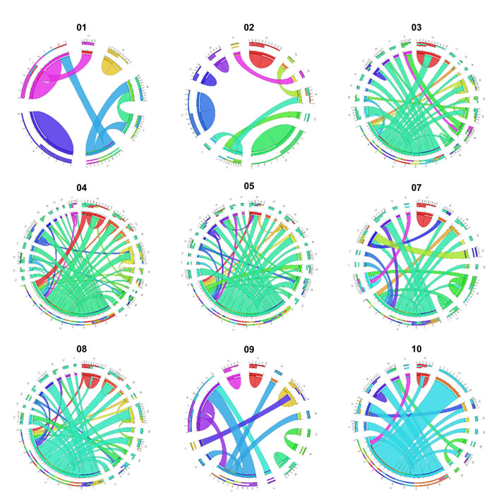 Gene fusions detected in nine GISTs displayed as Circos plots.