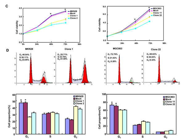 fig2b