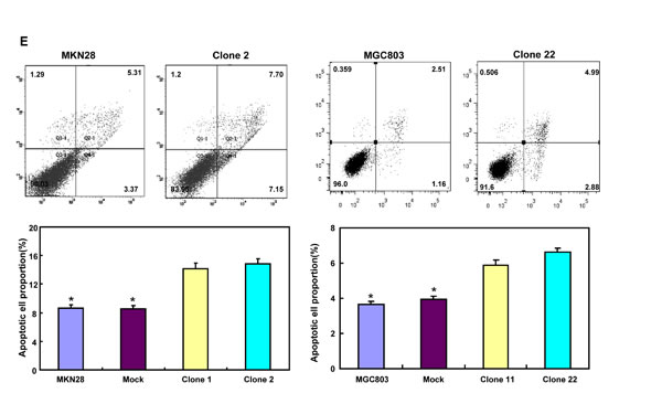 fig2c