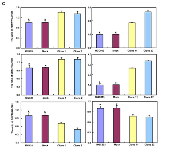 fig3i