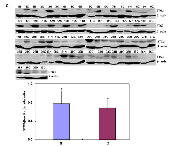 fig4c