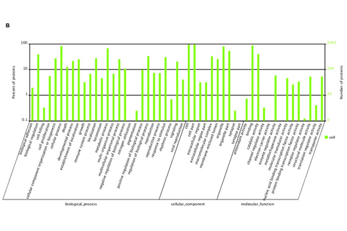 fig6b