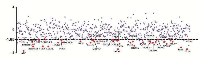 Scatter plot of z score from RNAi screen.