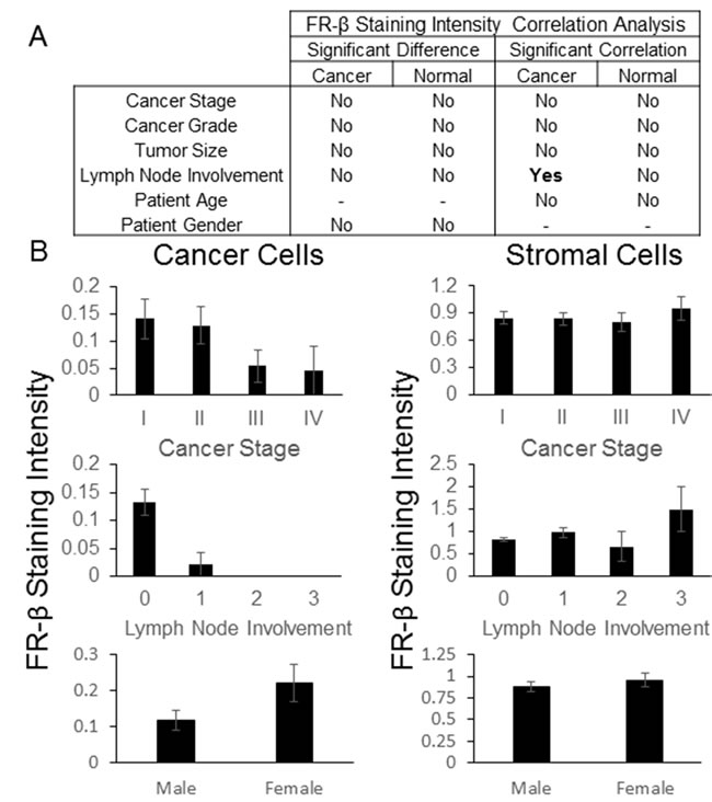 FR-&#x3b2; staining intensity correlations.