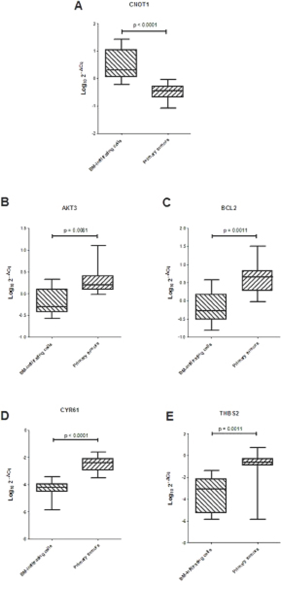 (A) Expression levels of CNOT1 and (B&#x2013;E) ARE-sequence containing genes involved in focal adhesion pathway in 10 BM-infiltrating and 10 primary tumors.