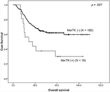 Kaplan-Meier survival curve for overall survival according to the MerTK status demonstrates that patients with MerTK overexpressing tumors have a worse outcome.