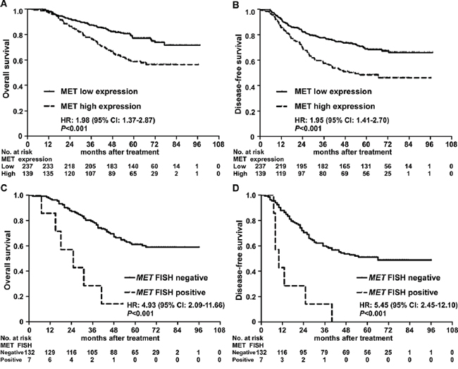 Kaplan-Meier overall survival and disease-free survival curves for patients with nasopharyngeal carcinoma stratified by MET protein expression and MET amplification status.