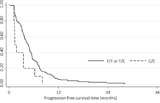 Kaplan-Meier plot depicting the progression-free survival of the validation cohort according to the SLC15A2 genotype.