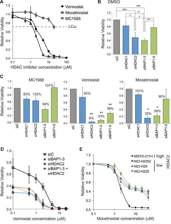 BAP1 status alters sensitivity of mesothelioma cells to HDAC inhibitors.