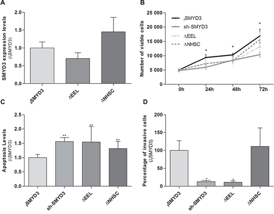 Impact of normal or mutant SMYD3 in the malignant phenotype of PC3 cells.