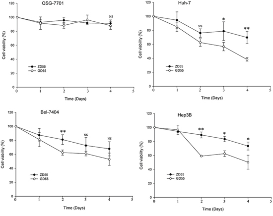 Cell viability of time-dependent by GOLPH2 promoter-regulated oncolytic adenovirus GD55.