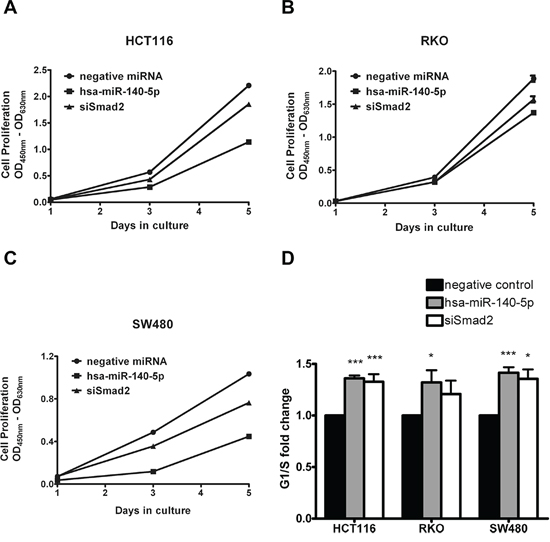 Hsa-miR-140-5p inhibited colon cancer cell growth and induced cell cycle arrest partially through targeting Smad2.