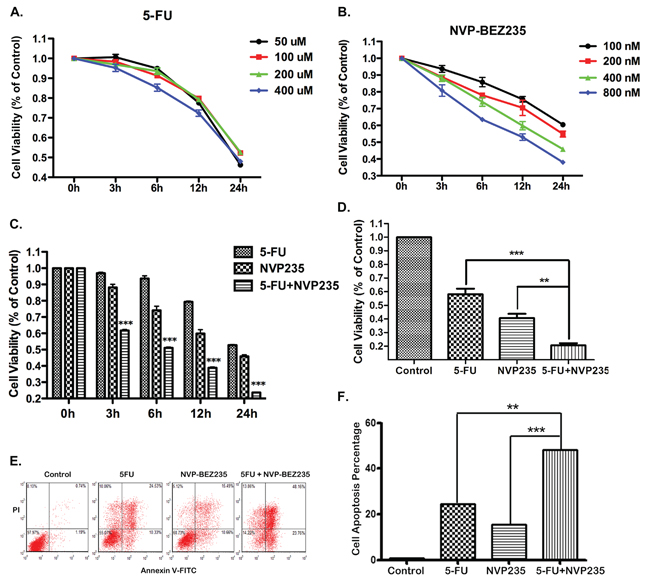 Efffects of 5-FU, NVP-BEZ235 or their combination on cell viability and apoptosis.