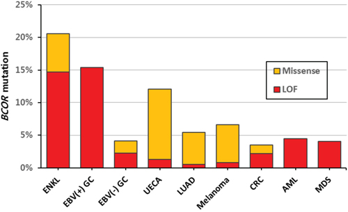 Mutation rates of BCOR according to tumor type.