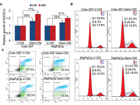 Effect of conditioned media obtained from gemcitabine- or vehicle- treated pancreatic cancer cells on endothelial cell growth, cell-cycle progression and survival.