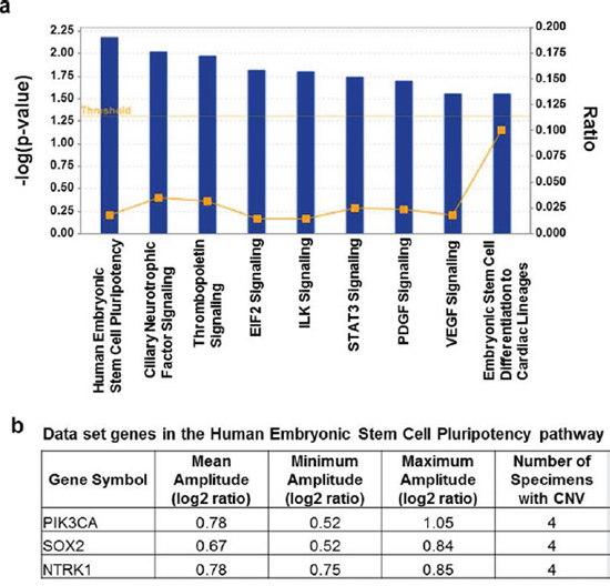 Result of pathways analysis of the set of genes showing repeated copy number gains in DNA from metastatic brain tumor tissue.
