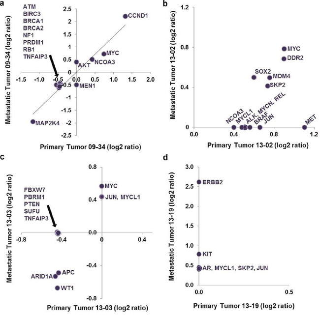 Plot of log2 ratio data for cancer gene aberrations discovered in matched primary and metastatic tumor specimens.
