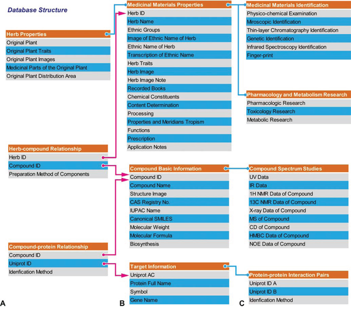 Database structure.