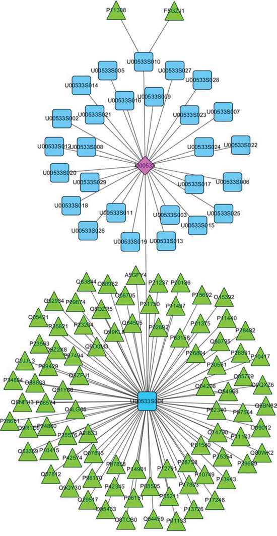 The Kazakh drug Salvia deserta Schang serves as an example for the use of CEMTDD web interface to find its target information.