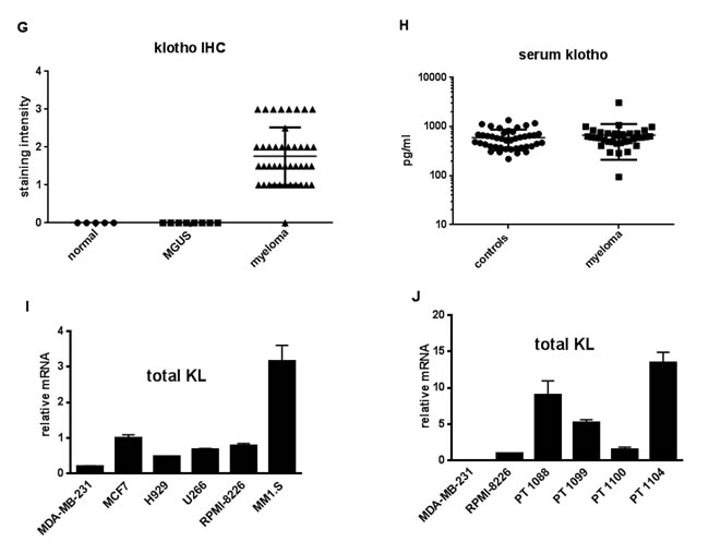 fig2b