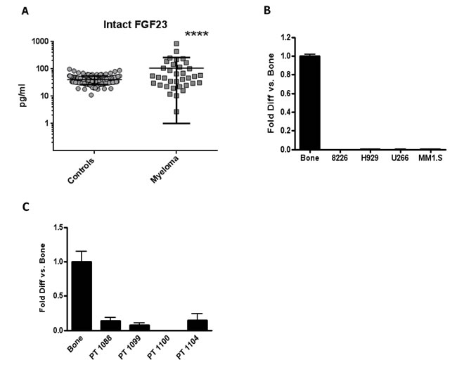 Serum intact FGF23 was higher in MM patients compared to controls, while MM cells made little FGF23 mRNA.