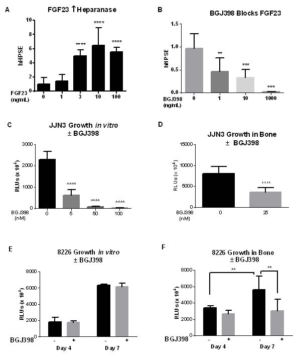 Pan-FGFR kinase inhibitor blocks responses to FGF23