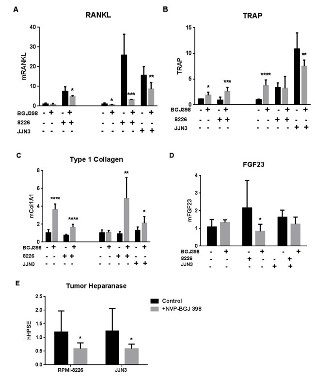 Effects of pan-FGFR kinase inhibitor on bone cell and MM responses in co-culture.