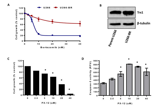 Inhibition of Trx1 reduces proliferation and induces apoptosis in bortezomib-resistant MM cells.