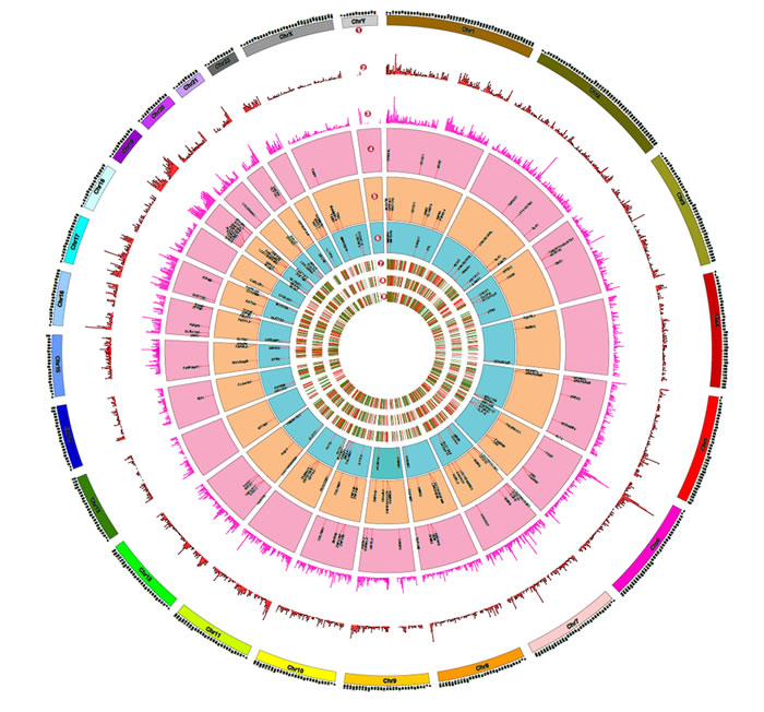 Proteogenomics landscape of exosomes, ectosomes and WCL of SH-SY5Y cells.