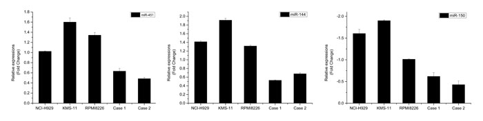 qRT-PCR validation of miRNA expression in SP cells.