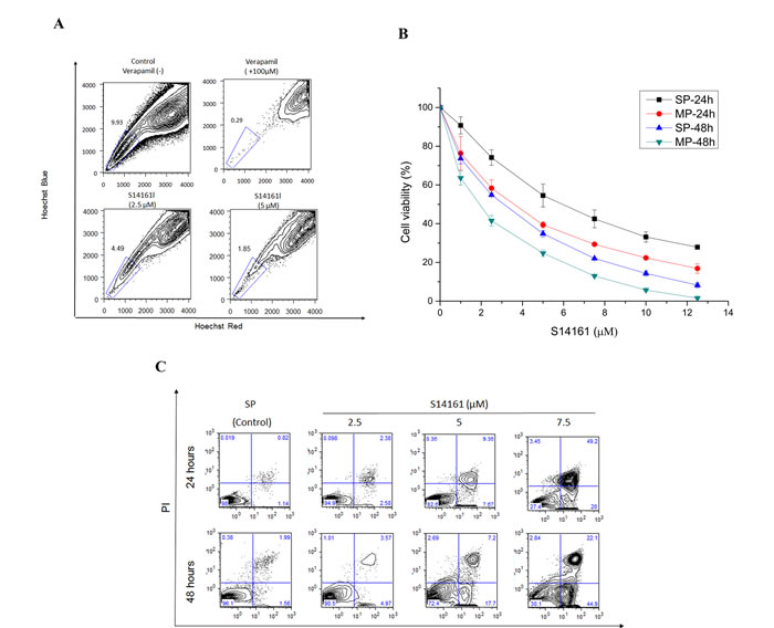 A novel mTOR inhibitor agent S14161 regulates SP cells stem cell properties.