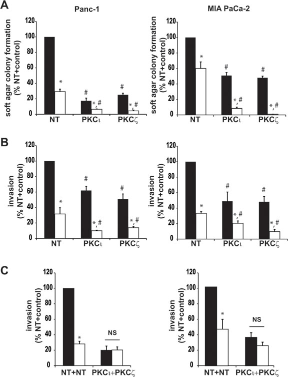 Effect of aPKC knockdown on pancreatic cancer cell sensitivity to ATM inhibition of the transformed phenotype.