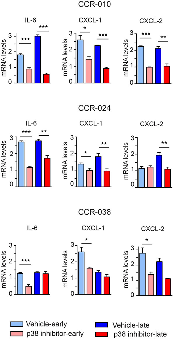 Effect of the p38 MAPK inhibitor in cytokine production by PDXs.