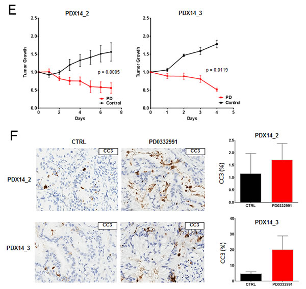 fig4b