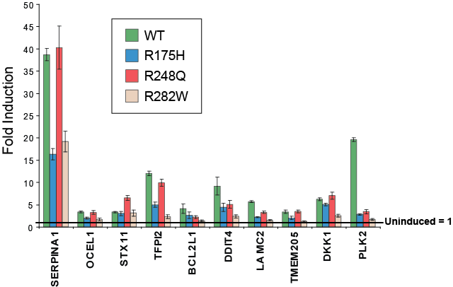 Validation of target genes identified in EMA.