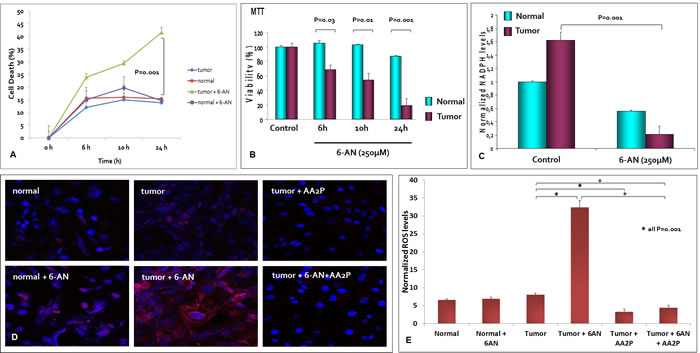 G6PDH is required for renal cancer cell survival and redox homeostasis maintenance.