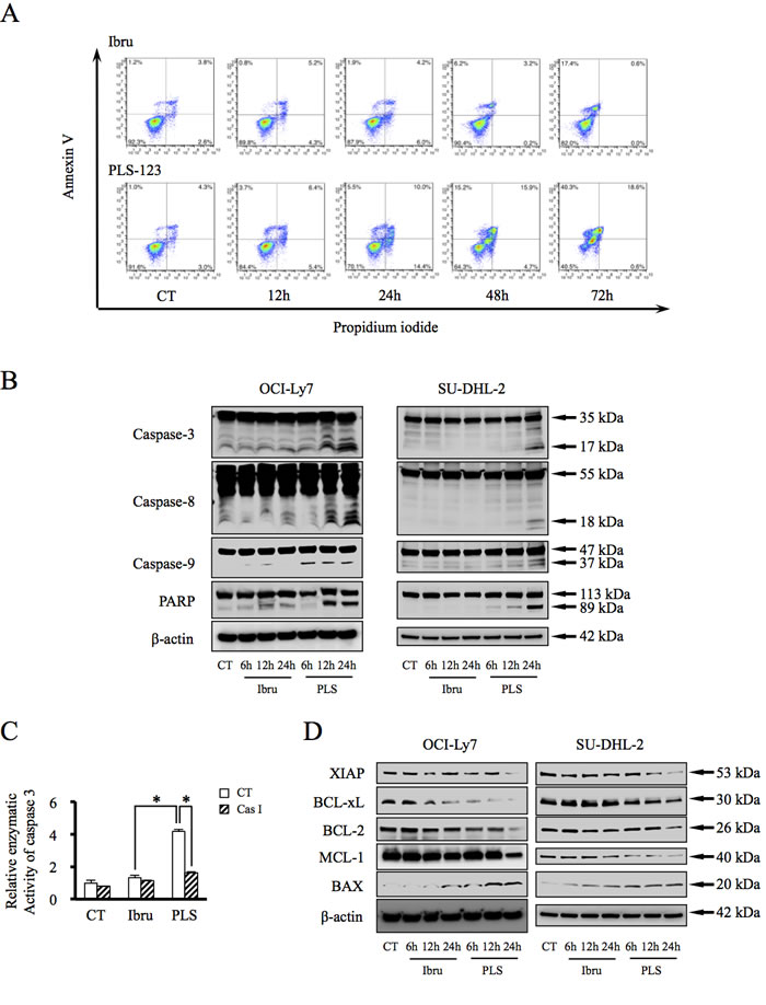 PLS-123-mediated B-cell lymphoma cytotoxicity is caspase-dependent.