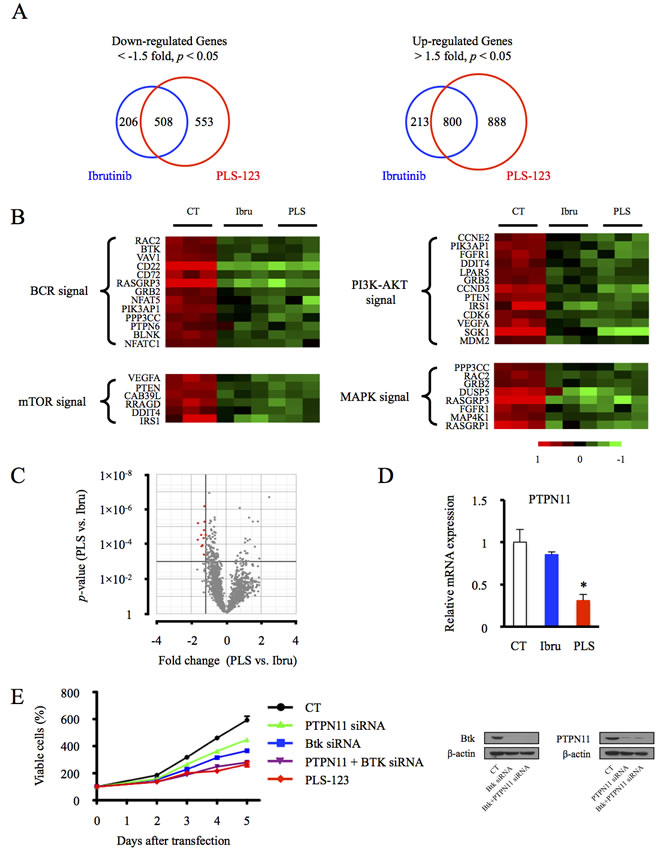 Gene expression profile of B-cell lymphoma post PLS-123 treatment.