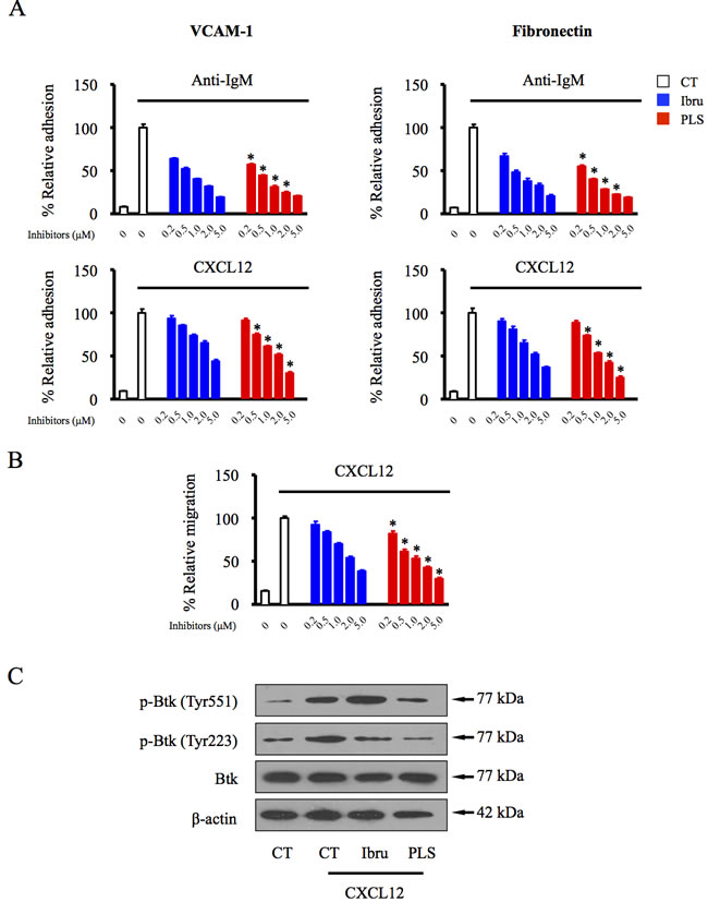 PLS-123 overcomes BCR- and chemokine-mediated lymphoma cell adhesion and migration.